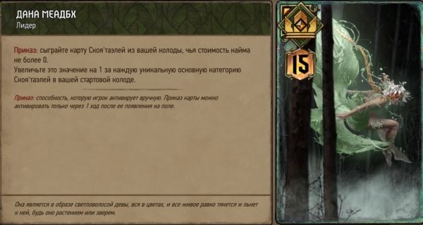 В Gwent добавили 5 новых лидеров. У Нильфгаарда наконец-то появилась женщина