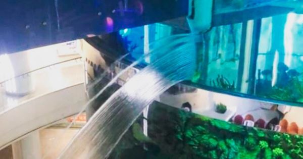 В Москве прорвало аквариум на миллион литров